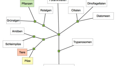 system design interview